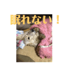 ぼのとむぎ（個別スタンプ：16）