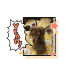 ぼのとむぎ（個別スタンプ：17）