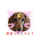 ぼのとむぎ（個別スタンプ：18）