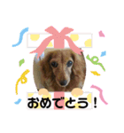 ぼのとむぎ（個別スタンプ：24）