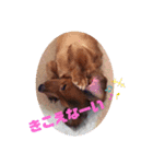 ジャンのすたんぷ2（個別スタンプ：9）