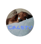 ジャンのすたんぷ2（個別スタンプ：12）