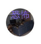 〜細胞と愉快な仲間たち〜with  テリネギ（個別スタンプ：22）