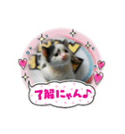 そらです。Sora（個別スタンプ：1）