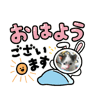 そらです。Sora（個別スタンプ：2）