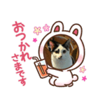 そらです。Sora（個別スタンプ：4）