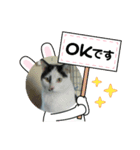 そらです。Sora（個別スタンプ：5）