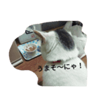アカサタナハマヤラワ（個別スタンプ：3）