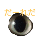 アカサタナハマヤラワ（個別スタンプ：5）