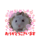 ハムスター♡スタンプ（個別スタンプ：2）