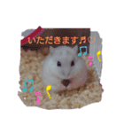 ハムスター♡スタンプ（個別スタンプ：4）