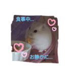 ハムスター♡スタンプ（個別スタンプ：9）
