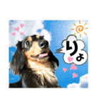 ジャビとココとコタロー（個別スタンプ：6）