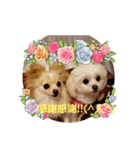 LUNA＆SEAひとり事～（個別スタンプ：1）