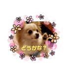 LUNA＆SEAひとり事～（個別スタンプ：2）