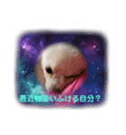 LUNA＆SEAひとり事～（個別スタンプ：4）