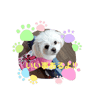 LUNA＆SEAひとり事～（個別スタンプ：7）