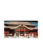 OKINAWAの景色と花（個別スタンプ：1）