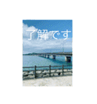 OKINAWAの景色と花（個別スタンプ：3）
