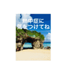 OKINAWAの景色と花（個別スタンプ：6）