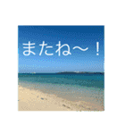 OKINAWAの景色と花（個別スタンプ：8）