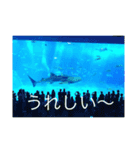 OKINAWAの景色と花（個別スタンプ：10）
