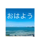 OKINAWAの景色と花（個別スタンプ：12）