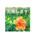 OKINAWAの景色と花（個別スタンプ：13）