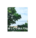 OKINAWAの景色と花（個別スタンプ：14）