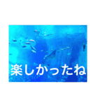 OKINAWAの景色と花（個別スタンプ：16）