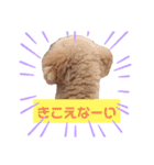 トイプードルのからあげちゃん（個別スタンプ：4）