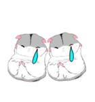 hamsters 双子ハムちゃん（個別スタンプ：28）