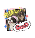 愛しのもなタンⅡ（個別スタンプ：14）