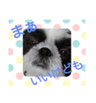 愛しのもなタンⅡ（個別スタンプ：16）