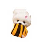 ポメラニアンもちの日常♡（個別スタンプ：3）