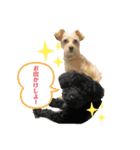 らき＆くーちゃん＆ぽちゃんスタンプ（個別スタンプ：2）