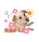 らき＆くーちゃん＆ぽちゃんスタンプ（個別スタンプ：7）