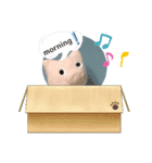 ぶたぶたくんの生活（個別スタンプ：1）