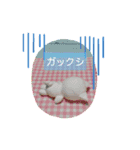 ぶたぶたくんの生活（個別スタンプ：13）
