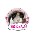 長沼ちちり（個別スタンプ：6）