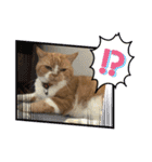 18歳のまんちちゃん。part1（個別スタンプ：11）