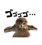 フクロウのガルーさん（個別スタンプ：11）