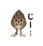 フクロウのガルーさん（個別スタンプ：26）