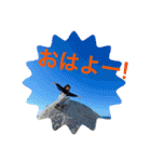 北尾もかです。（個別スタンプ：1）