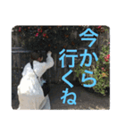 北尾もかです。（個別スタンプ：8）