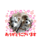 youmoco5（個別スタンプ：7）