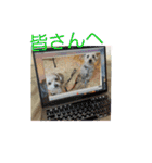 youmoco5（個別スタンプ：8）