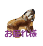 youmoco5（個別スタンプ：11）