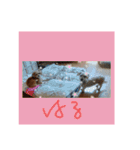 youmoco5（個別スタンプ：13）