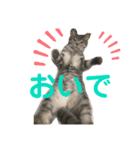 になはるちび Part3（個別スタンプ：4）